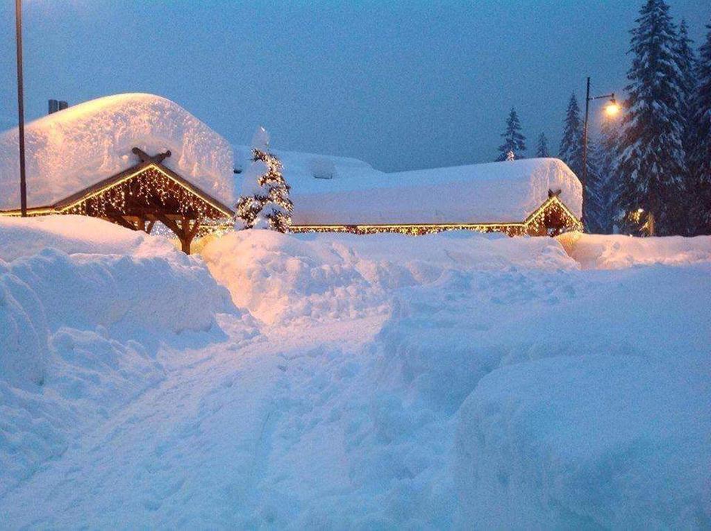 Hotel Chalet Al Lago San Vito di Cadore Esterno foto