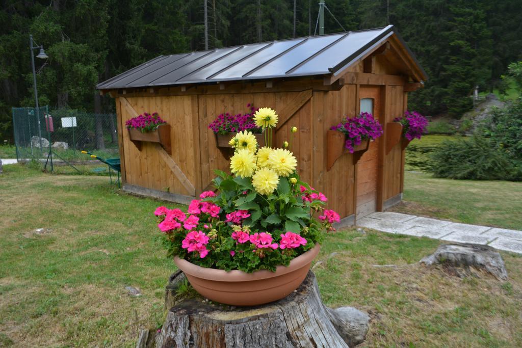 Hotel Chalet Al Lago San Vito di Cadore Esterno foto